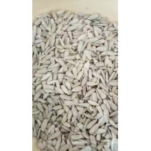2019 new crop inner mongolia factory sunflower seeds kernels